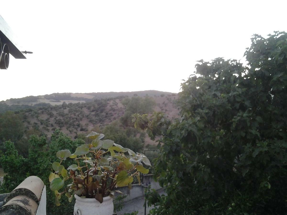 Casa Maria Luisa Villa El Bosque Kültér fotó
